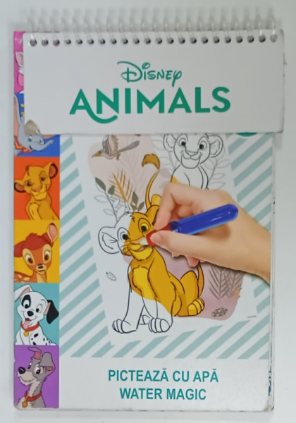 DISNEY ANIMALS, PICTEAZA CU APA , WATER MAGIC , ANII ' 2000 , LIPSA MARKER