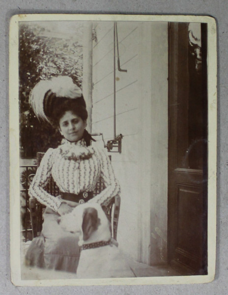 DOAMNA CU CATELUL , FOTOGRAFIE , CCA. 1900