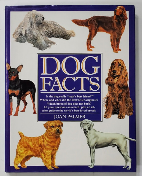 DOG FACTS by JOAN PALMER , 1999