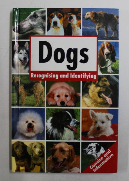 DOGS  - RECOGNISING AND IDENTIFYING