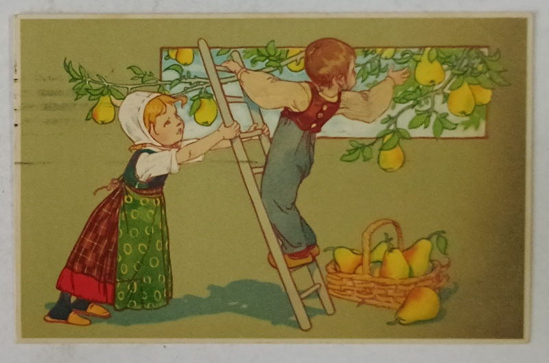 DOI COPII LA CULES DE PERE , CARTE POSTALA , DESEN IN MANIERA ART - NOUVEAU , 1908