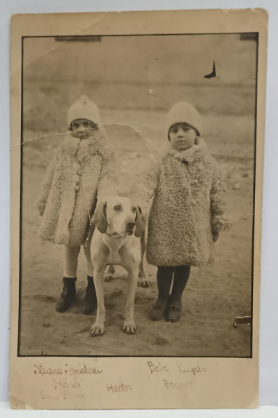 DOI COPII SI CAINELE HECTOR , BRASOV , FOTOGRAFIE FORMAT CARTE POSTALA , INCEPUTUL SEC. XX