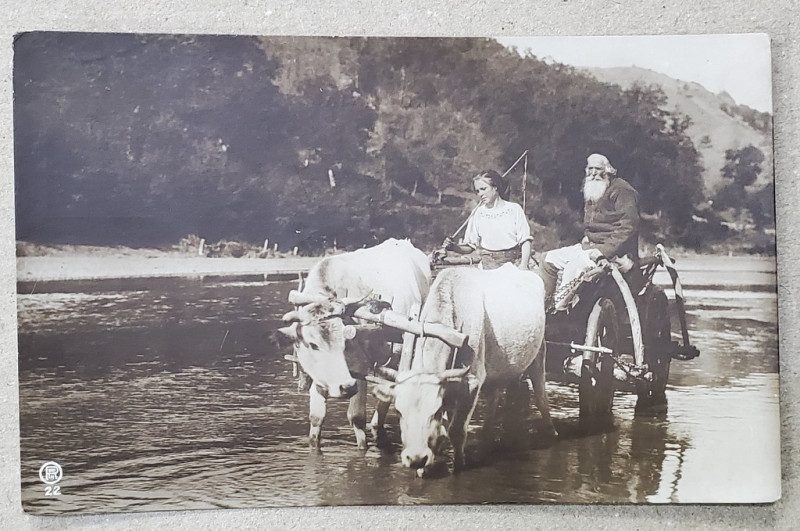 DOI TARANI LA TRECEREA RAULUI IN CAR CU BOI , FOTOGRAFIE TIP CARTE POSTALA , COLECTIA  A. BELLU , INTERBELICA
