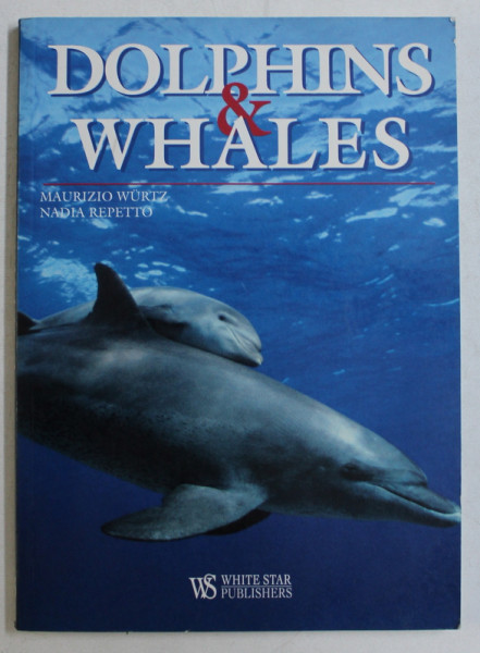 DOLPHINS & WHALES by MAURIZIO WURTZ and NADIA REPETTO , 2003