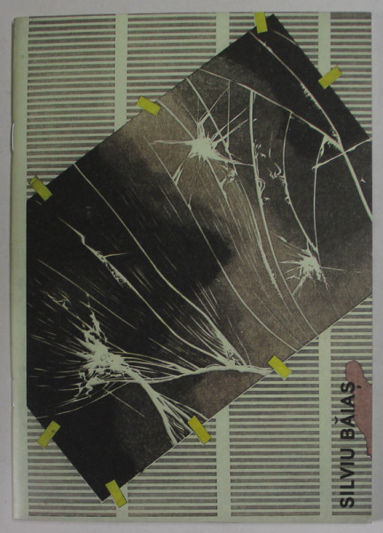 DONATIA LUCACI - BAIAS SI SILVIU BAIAS / THE ETHEL LUCACI - BAIAS AND SILVIU BAIAS DONATION , CATALOG DE EXDPOZITIE , 2017- 2018