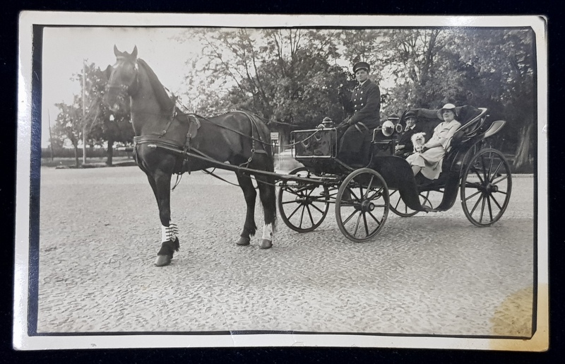 DOUA DOAMNE CU CATELUL SI TRASURA LA SOSEA , FOTOGRAFIE TIP CARTE POSTALA , MONOCROMA , NECIRCULATA , PERIOADA INTERBELICA