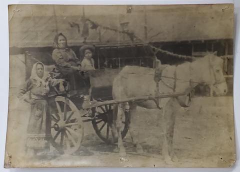 DOUA FEMEI CU COPILUL IN SARETA TRASA DE UN CAL , FOTOGRAFIE , INTERBELICA