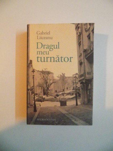 DRAGUL MEU TURNATOR de GABRIEL LIICEANU , 2013