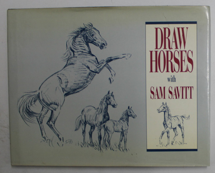 DRAW HORSES with SAM SAVITT , 1991
