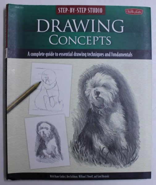 DRAWING CONCEPTS by DIANE CARDACI...CAROL ROSINSKI , 2009