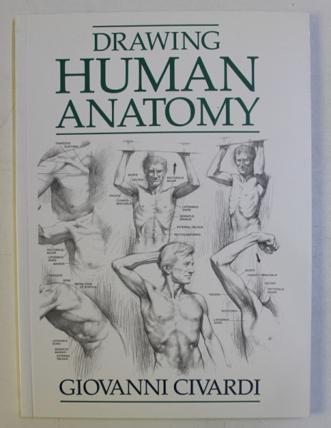 DRAWING HUMAN ANATOMY by GIOVANNI CIVARDI , 2003