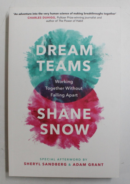 DREAM TEAMS - WORKING TOGETHER WITHOUT FALLING APART by SHANE SNOW , 2018