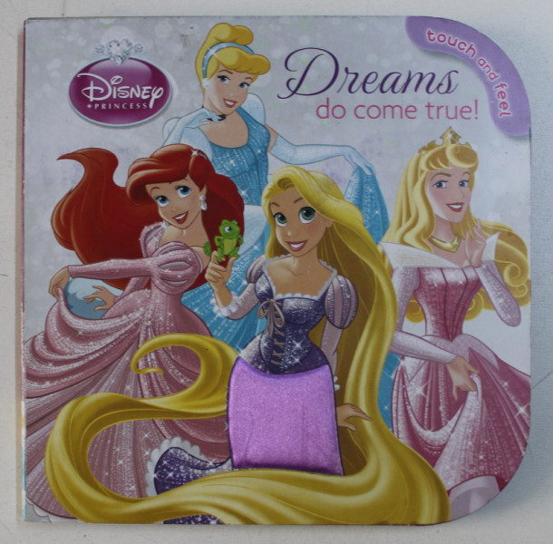 DREAMS DO COME TRUE ! - SERIA DISNEY PRINCESS - TOUCH AND FEEL , 2013