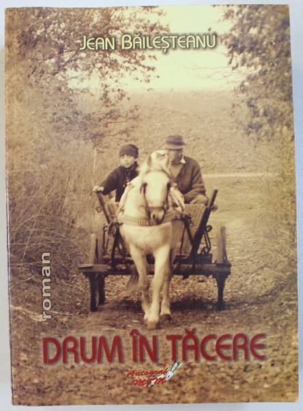 DRUM IN TACERE  - roman de JEAN BAILESTEANU , 2013