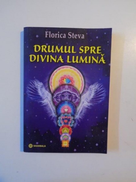 DRUMUL SPRE DIVINA LUMINA de FLORICA STEVA 2010