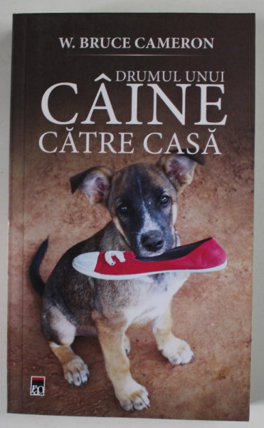 DRUMUL UNUI CAINE CATRE CASA de W. BRUCE CAMERON , 2019