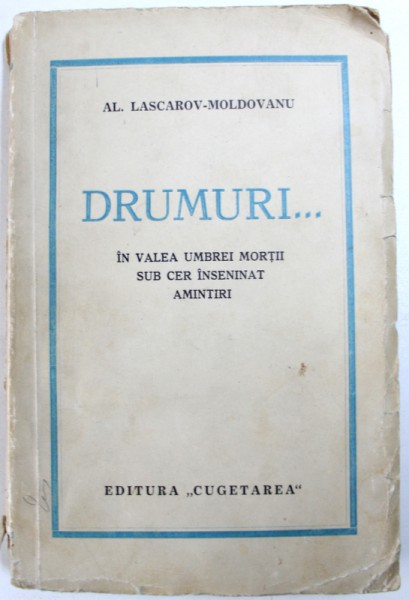 DRUMURI... IN VALEA UMBREI MORTII SUB CER INSENINAT AMINTIRI , DEDICATIE*
