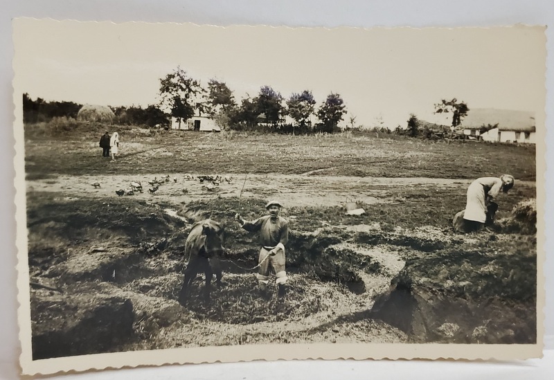 DUBASARI , PREGATIREA LUTULUI PENTRU CARAMIZI , FOTOGRAFIE INTERBELICA