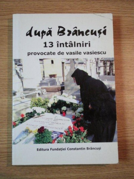 DUPA BRANCUSI. 13 INTALNIRI PROVOCATE DE VASILE VASIESCU , CONTINE DEDICATIE*