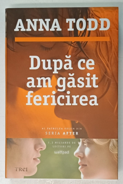 DUPA CE AM GASIT FERICIREA de ANNA TODD , 2016