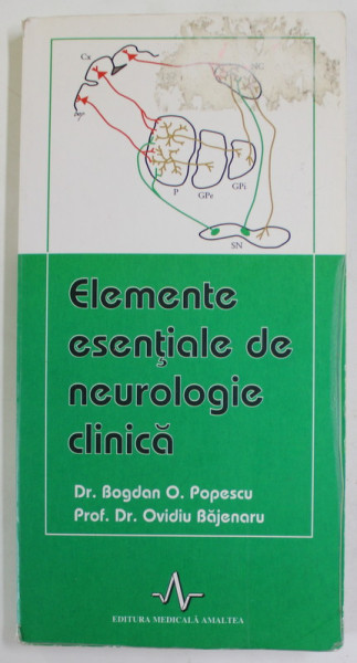 ELEMENTE ESENTIALE DE NEUROLOGIE CLINICA-BOGDAN O. POPESCU,OVIDIU BAJENARU * MICI DEFECTE