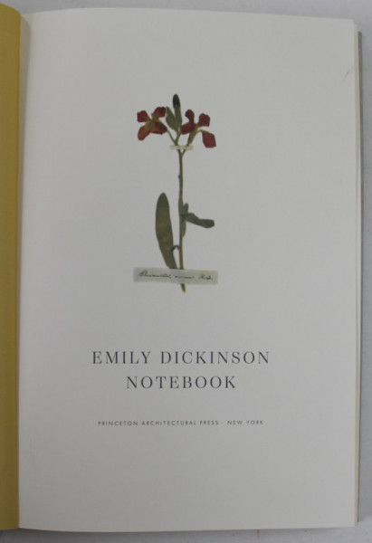 EMILY DICKINSON NOTEBOOK , A BLANC JOURNAL , 2018 , PREZINTA URME DE INDOIRE