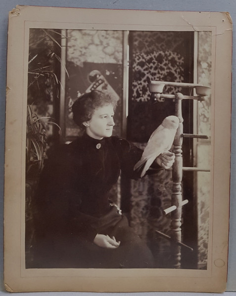 EMMA CALLIMACHI , POZAND IN STUDIO , CU O PASARE PE MANA STANGA , FOTOGARFIE MONOCROMA, PASPARTU DIN CARTON, CIRCA 1900