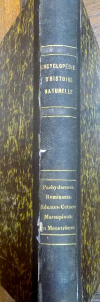 ENCYCLOPEDIE D'HISTOIRE NATURELLE OU TRAITE COMPLET DE CETTE SCIENCE. PACHYDERMES, RUMINANTS, EDENTES, CETACES, MARSUPIAUX ET MONOTREMES par LE D' CHENU,  PARIS
