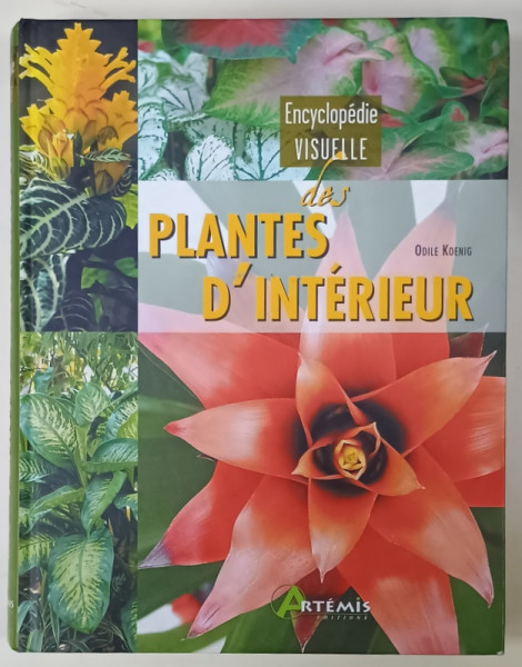 ENCYCLOPEDIE VISUELLE DES PLANTES D 'INTERIEUR par ODILE KOENIG , 2005