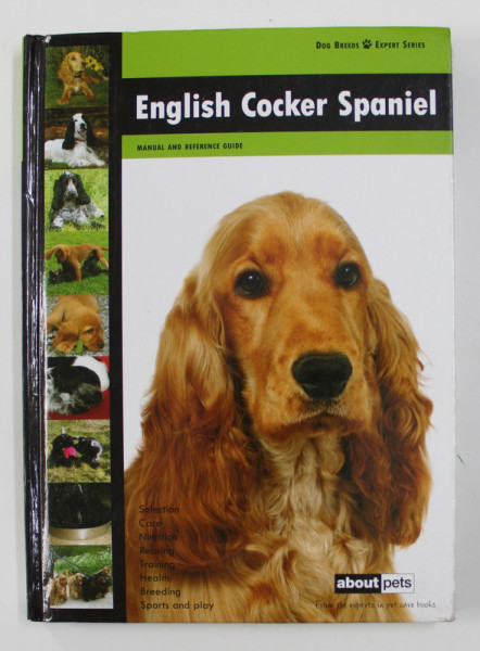 ENGLISH COCKER SPANIEL , 2012