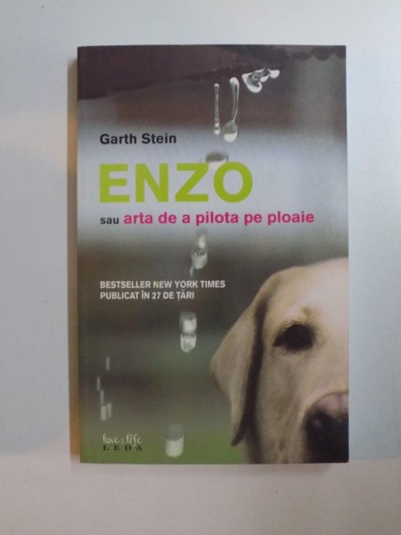 ENZO SAU ARTA DE A PILOTA PE PLOAIE de GARTH STEIN , 2008