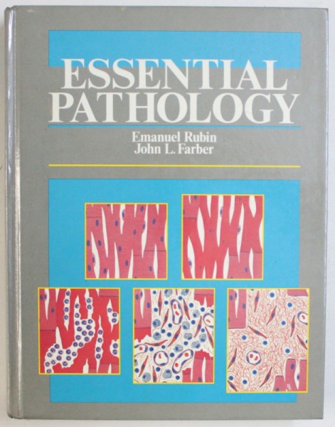 ESSENTIAL PATHOLOGY by EMANUEL RUBIN and JOHN L. FARBER , 1990