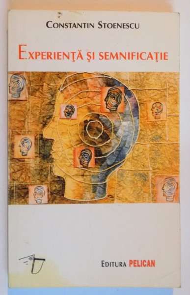 EXPERIENTA SI SEMNIFICATIE de CONSTANTIN STOENESCU , 1998