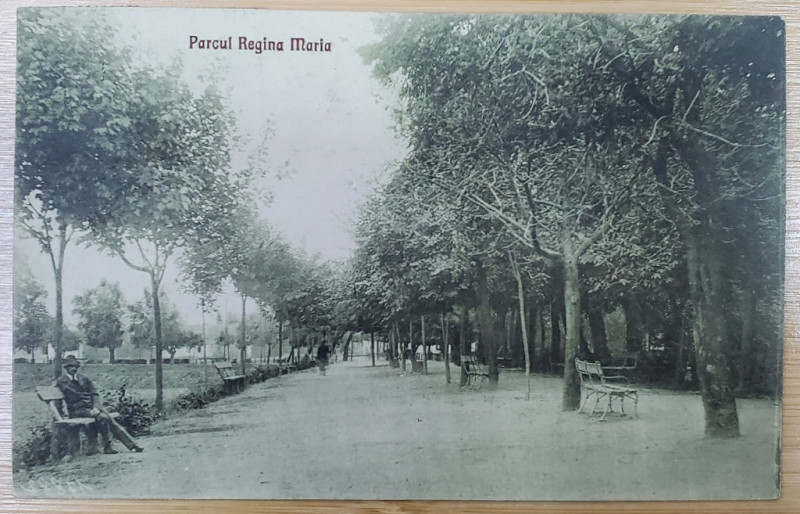 FAGARAS , PARCUL REGINA MARIA , CARTE POSTALA , 1927