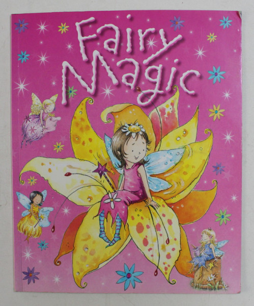 FAIRY MAGIC , 2013