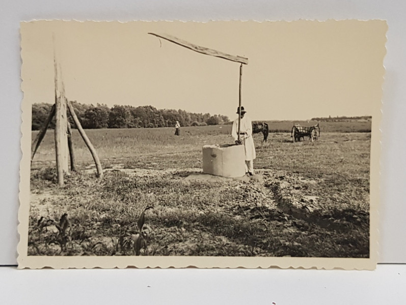 FANTANA CU CUMPANA PE CAMP , FOTOGRAFIE UNI - FOTO WEISS , MONOCROMA, PERIOADA INTERBELICA