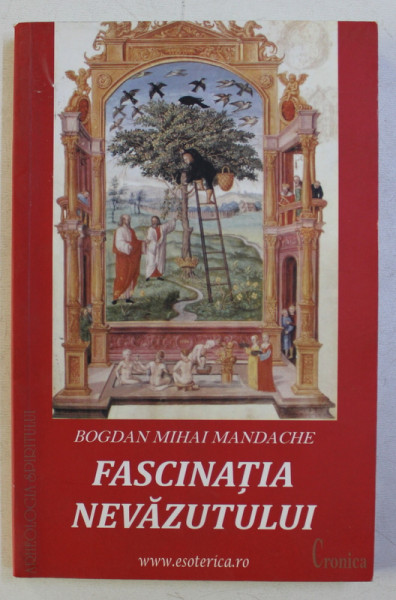 FASCINATIA NEVAZUTULUI de BOGDAN MIHAI MANDACHE , 2012