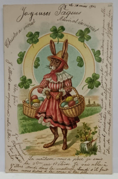 FELICITARE DE PASTE , IEPUROAICA CU COSURI DE OUA VOPSITE , CARTE POSTALA , CROMOLITOGRAFIE , CLASICA , DATATA  1904