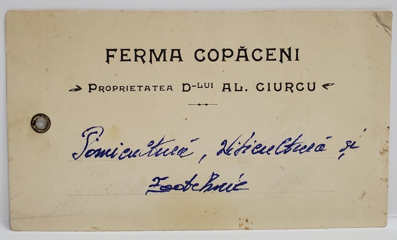 FERMA COPACENI , PROPRIETATEA D- LUI AL. GIURCU , ETICHETA , INTERBELICA