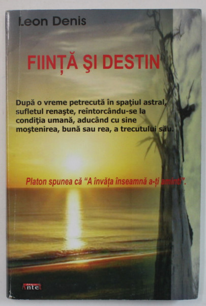 FIINTA SI DESTIN de LEON DENIS , 2010