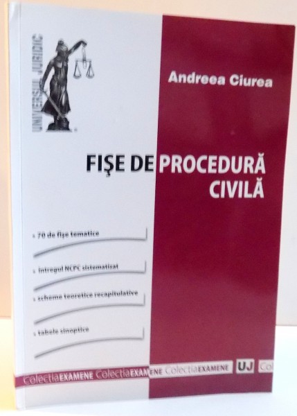 FISE DE PROCEDURA CIVILA de ANDREEA CIUREA , 2013