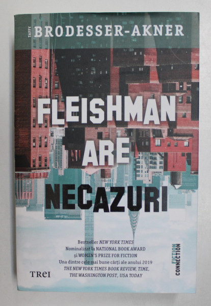 FLEISHMAN ARE NECAZURI , roman de TAFFY BRODESSER - AKNER , 2021