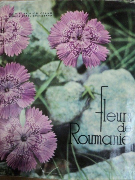 FLEURS DE ROUMANIE- MIRCEA BUCCHICEANU SI RODICA RARAU BICHICEANU