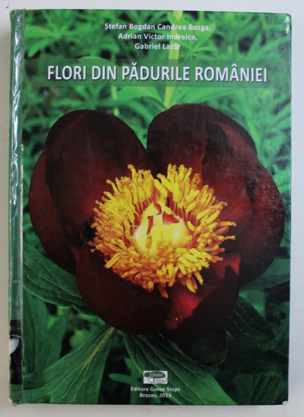 FLORI DIN PADURILE ROMANIEI de STEFAN BOGDAN CANDREA BOZGA ... GABRIEL LAZAR, 2013