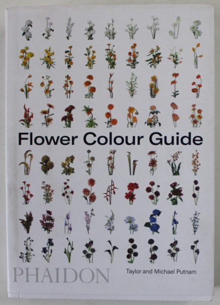FLOWER COLOUR GUIDE by TAYLOR and MICHAEL PUTNAM , 2021