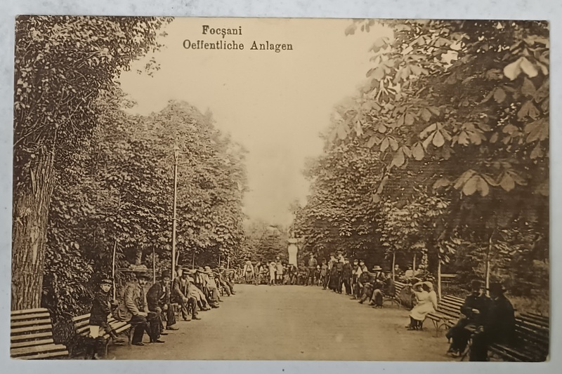 FOCSANI , PARCUL PUBLIC , CARTE POSTALA ILUSTRATA, INCEPUT DE SEC. XX