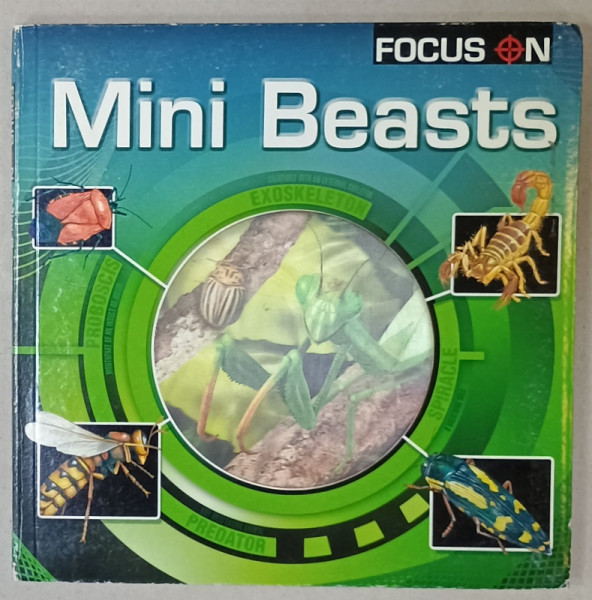 FOCUS ON MINI BEASTS , 2008