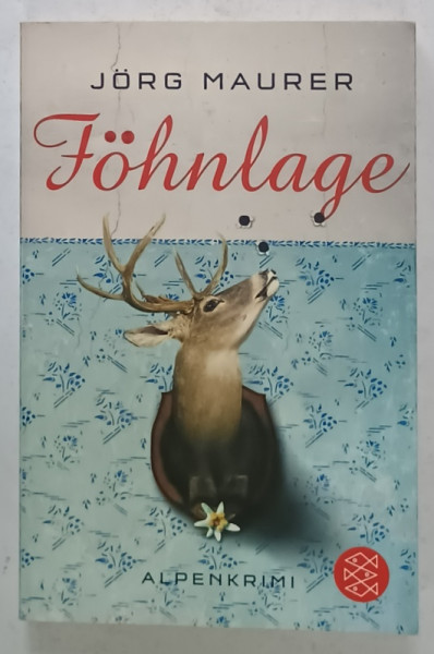 FOHNLAGE by JORG MAURER , TEXT IN LIMBA GERMANA , 2010