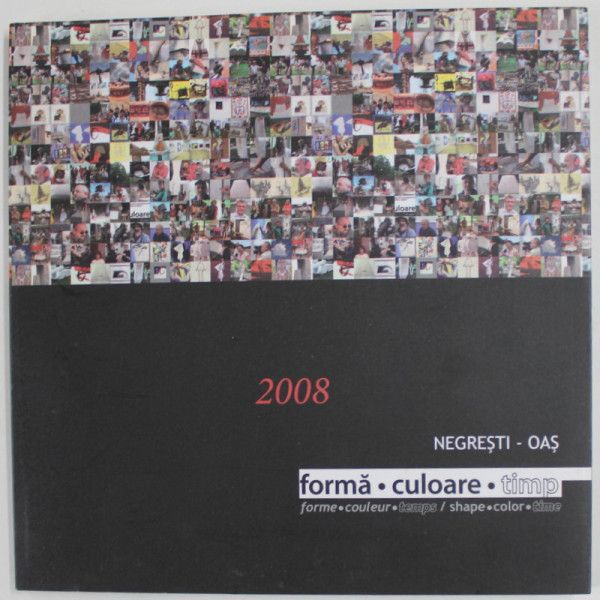 FORMA , CULOARE , TIMP , EXPOZITIE COLECTIVA , NEGRESTI , OAS , ROMANIA , 2008 , TEXT IN ROMANA , ENGLEZA , FRANCEZA