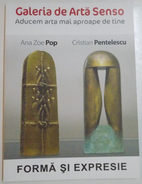 FORMA SI EXPRESIE de ANA ZOE POP si CRISTIAN PENTELESCU , 2015